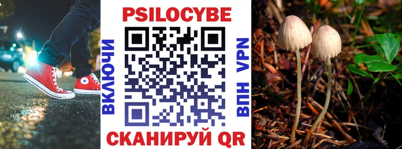 Галлюциногенные грибы мицелий  Кубинка 