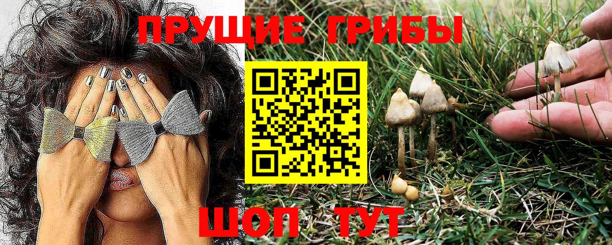 Галлюциногенные грибы GOLDEN TEACHER Кубинка