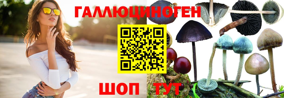 Галлюциногенные грибы Psilocybe  Вход с VPN  Псилоцибиновые грибы Psilocybe  Кубинка 